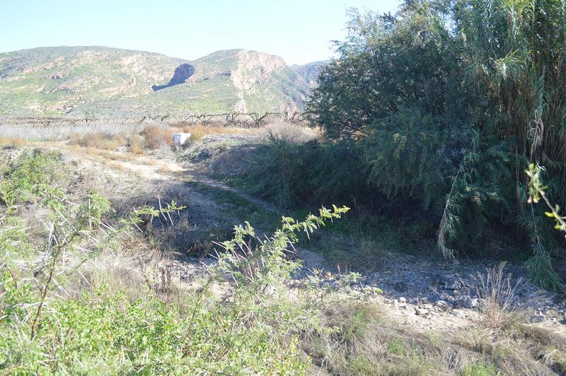 3 Bedroom Property for Sale in Calitzdorp Western Cape
